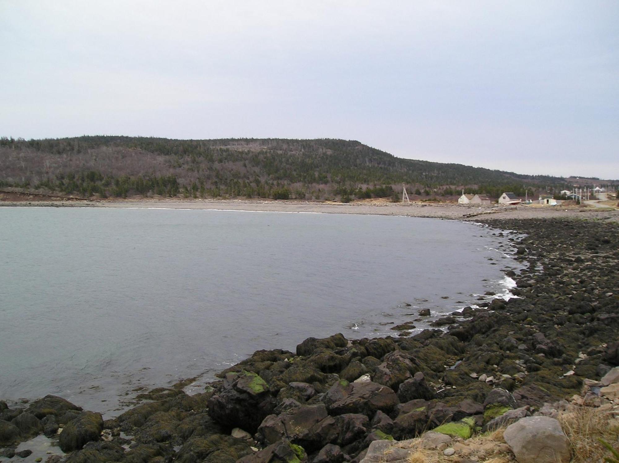 Gulliver'S Cove Oceanview Cottages Gullivers Cove Eksteriør billede
