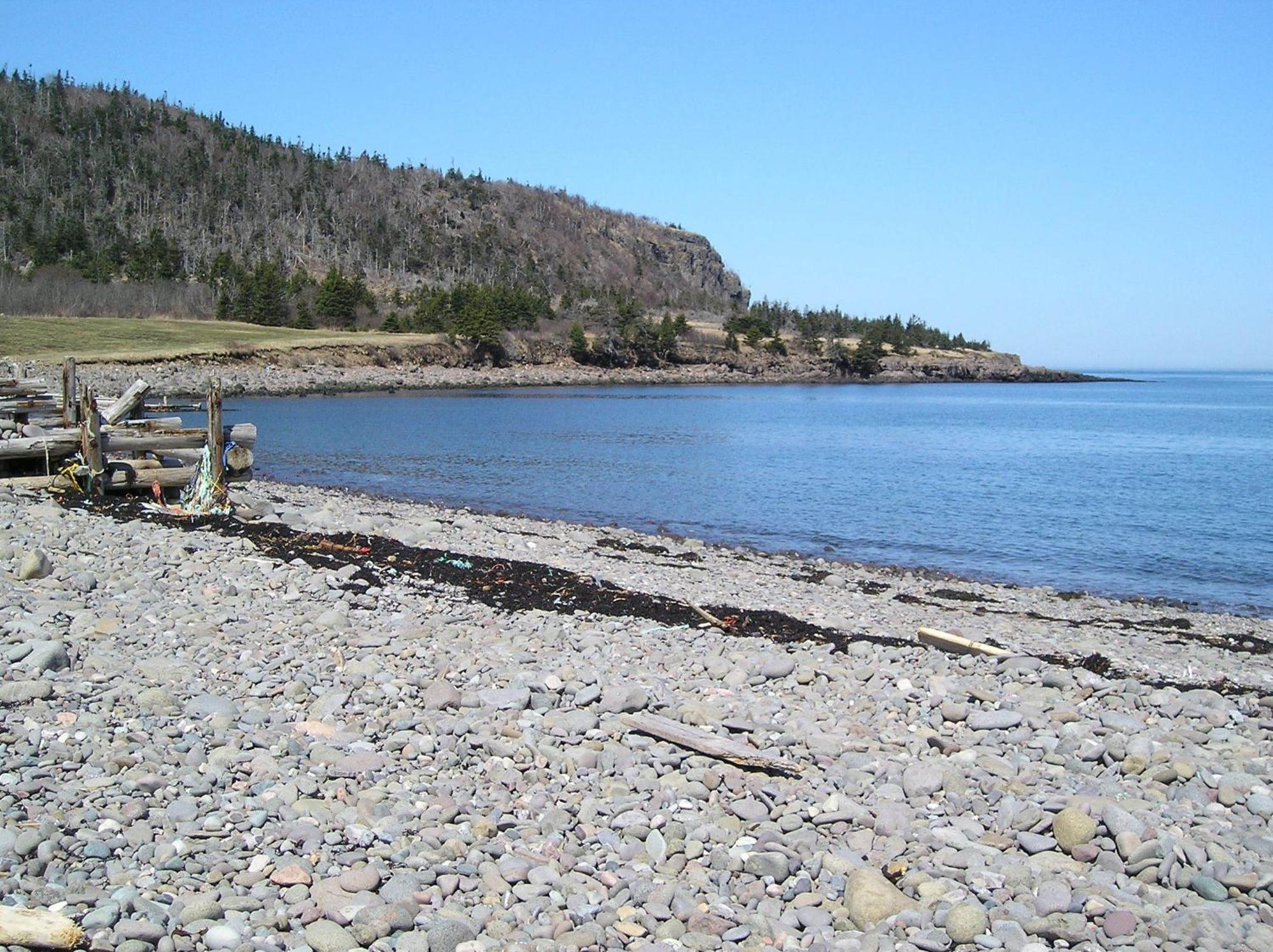 Gulliver'S Cove Oceanview Cottages Gullivers Cove Eksteriør billede